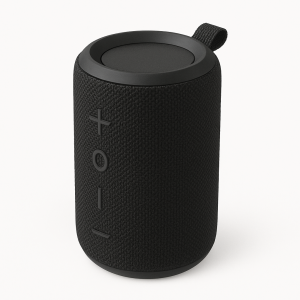 Portable Speaker