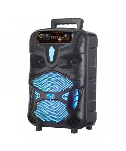 Ηχείο Bluetooth NDR P55 με LED Φωτισμό & TWS (12 Ίντσες)