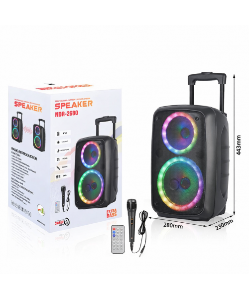 Ηχείο Karaoke με Ενσύρματo Μικρόφωνο και Εφέ Φωτισμού PZX NDR-2680 Μαύρο